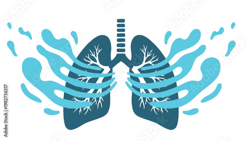 Lungs, Respiratory, Blue, Anatomy isolated on White Background