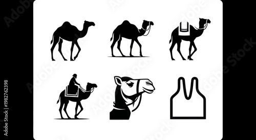 Camel Icons Set: Silhouette, Rider, Head, and Saddle