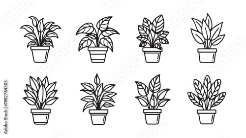 Set of Potted Houseplants in Outline Style Minimalist Vector Icons