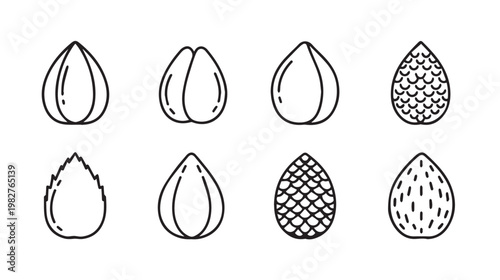 Set of stylized nut icons line art simple shapes isolated on white background