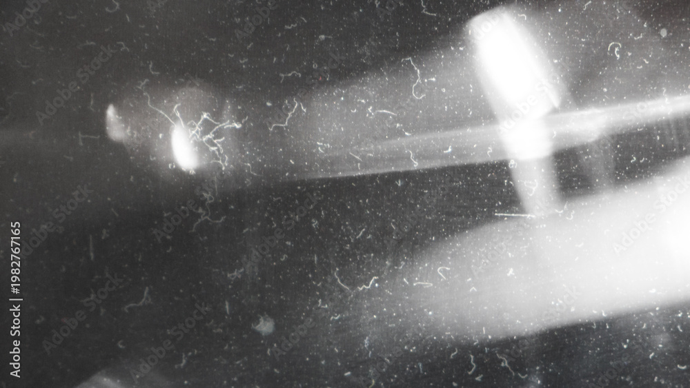 Obraz premium Old film texture with scratches, noise and light leaks. Realistic transparent overlay film texture in black-white, dust and grain. Distressed retro movie or photo negative effect of cinema nostalgia