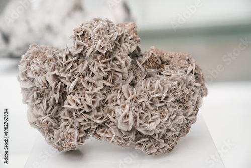 Desert rose gypsum crystal cluster isolated on white background, macro mineral specimen