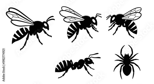 Black insect silhouettes set: wasp, bee, ant, and spider vector icons