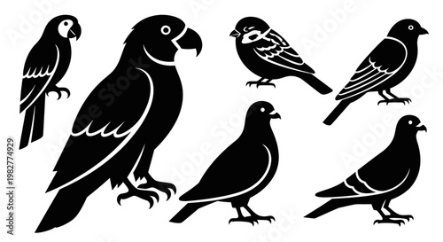 Black Bird Silhouettes Collection: Diverse Wildlife Icons for Graphic Design