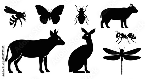Diverse Animal and Insect Silhouettes Collection: Wildlife Vector Graphics Set