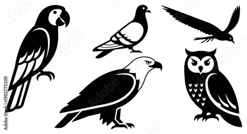Diverse bird silhouettes collection: parrot, pigeon, eagle, owl, and flying bird icons set.