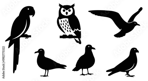 Diverse Bird Silhouettes Collection: Parrot, Owl, Seagull, Pigeon Vector Icons Set