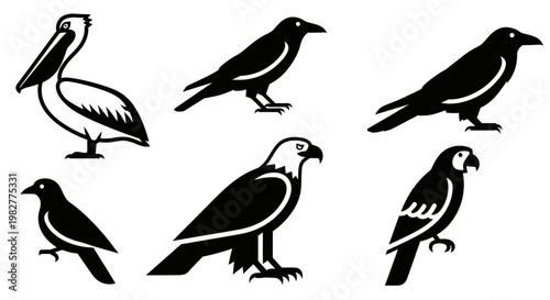 Diverse Bird Silhouettes Collection: Pelican, Crow, Eagle, and Parrot Icons