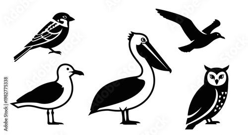 Diverse Bird Silhouettes Collection: Sparrow, Seagull, Pelican, Owl, and Flying Bird Icons