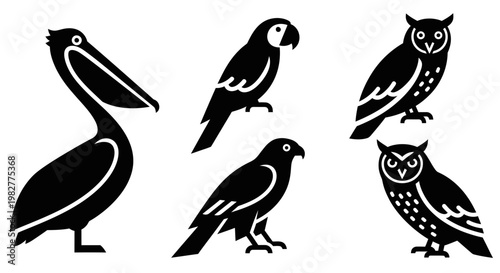Diverse Bird Silhouettes: Pelican, Parrot, and Owls in Black Vector Art