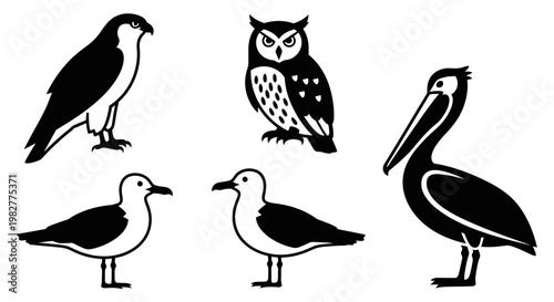 Diverse Bird Silhouettes Set: Falcon, Owl, Pelican, and Seagulls Vector Illustration