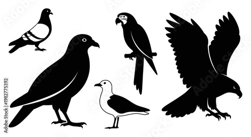 Diverse Bird Silhouettes Set: Pigeon, Crow, Parrot, Seagull, and Eagle Vector Art