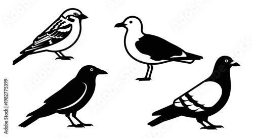 Diverse Bird Silhouettes: Sparrow, Seagull, Crow, and Pigeon Collection