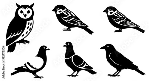 Diverse Bird Species Silhouettes Collection: Owl, Sparrows, Pigeons, and Crow Vector Set