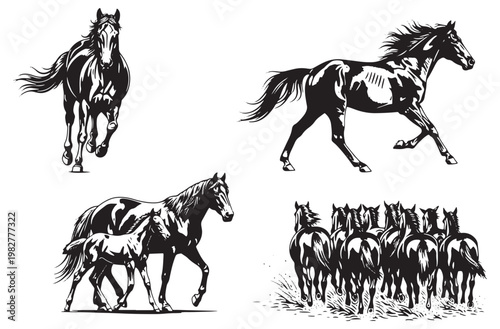 Running horse silhouettes set including stallion galloping towards viewer and mare with foal walking together plus herd of horses retreating for equestrian design and ranch art