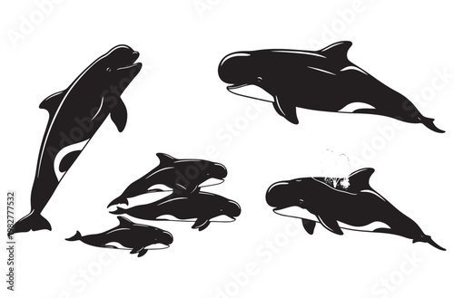 Set of pilot whale and killer whale silhouettes, collection various marine mammal species, vector wildlife underwater creatures illustration