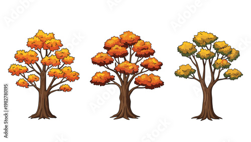 Three diverse autumn deciduous trees with vibrant orange and yellow foliage isolated on a clean white background.