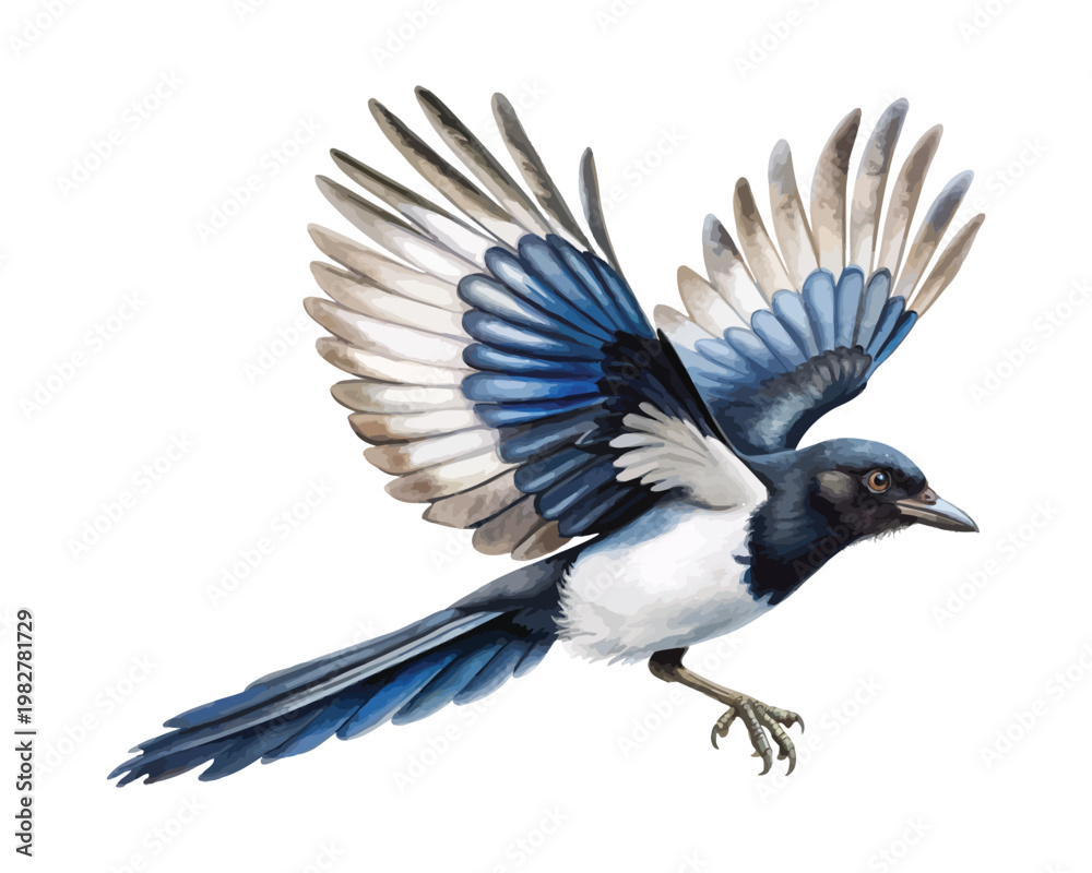 Obraz premium Hand-Painted Magpie Watercolor, Monochrome Bird Art, Isolated Vector Illustration