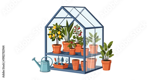 Vector illustration of a greenhouse with plants and gardening tools