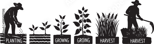 Agricultural Growth Stages from Planting to Harvesting Crops