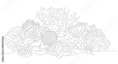 Coral Reef Marine Life Ecosystem.