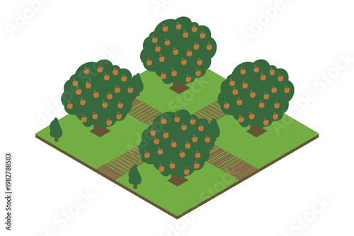 Orchard trees grow in a neat row on a green plot of fertile land.