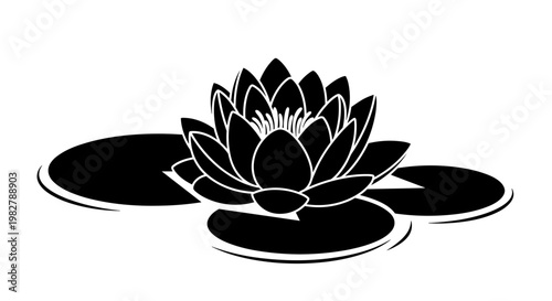 Black lotus flower on water.