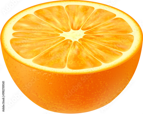 Realistic ripe raw orange fruit half cut for juice or sweet dessert, isolated vector. Fresh juicy orange fruit with realistic texture cut in half with peel for juice, jam or lemonade drink and food
