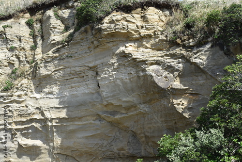 かつうら海中公園