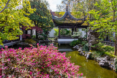 Chinese style gazebo in Chinese Garden in Portland, Oregon, in springtime
