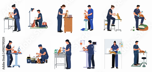 Flat vector illustration of veterinarians caring for cats, performing various medical procedures like examinations, vaccinations, and surgeries in a clinic setting.