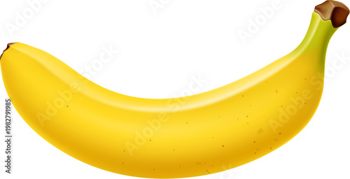 Realistic ripe yellow banana fruit for dessert and sweet food, isolated vector. Fresh unpeeled whole banana fruit in closeup macro 3D for organic juice or smoothie and dessert food product