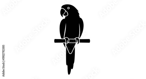 Black Parrot Bird Sitting Perched.