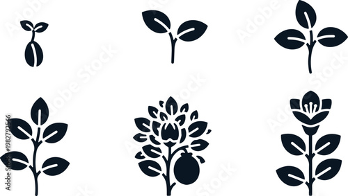 Seedling growth stages icon set showing plant development from seeds to flowering foliage.
