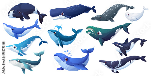 Cartoon whale animal characters of vector cute blue, grey and fin, sperm, humpback and bowhead whales, orca and beluga. Giant sea and ocean mammal animal characters spouting water with happy smiles