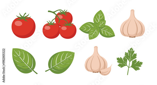 Fresh Tomatoes, Garlic, and Herb Leaves Vector Set for Healthy Cooking, Natural Ingredients, and Organic Food Designs