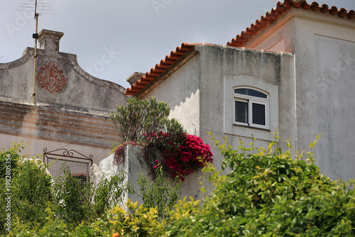 Historic house with bougainvillea in the old town of Monchique, Portugal