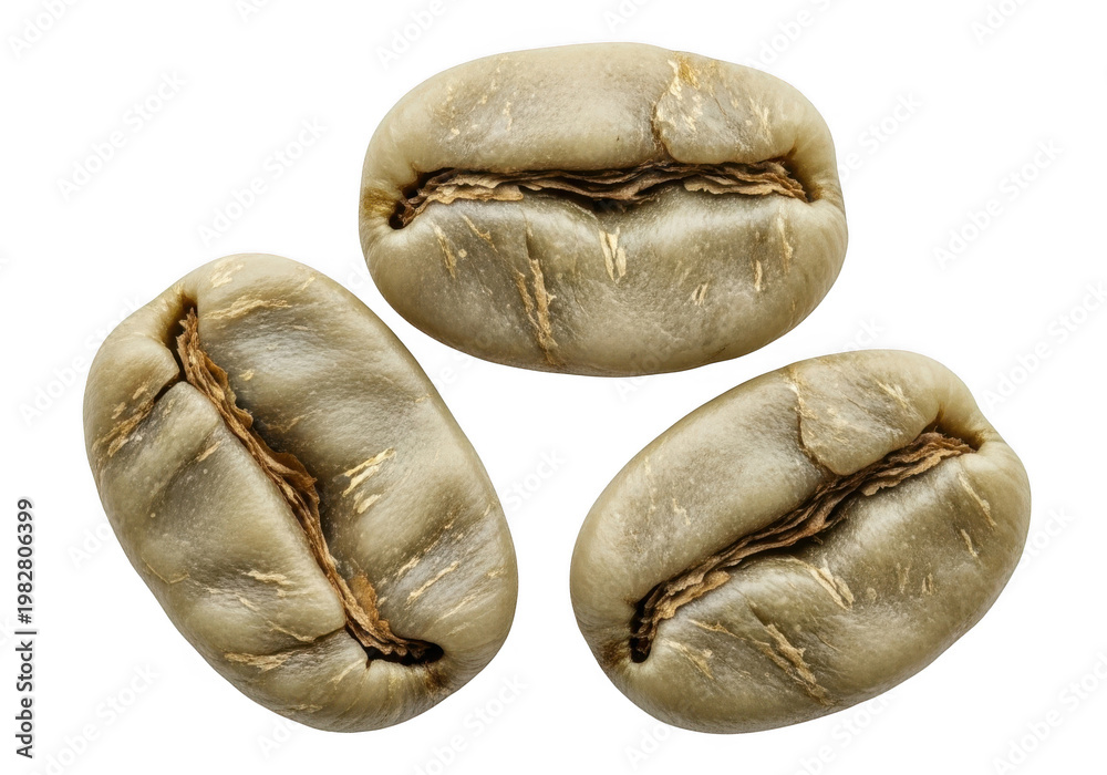 Obraz premium Three whole coffee beans with visible texture and natural color variations isolated on transparent background