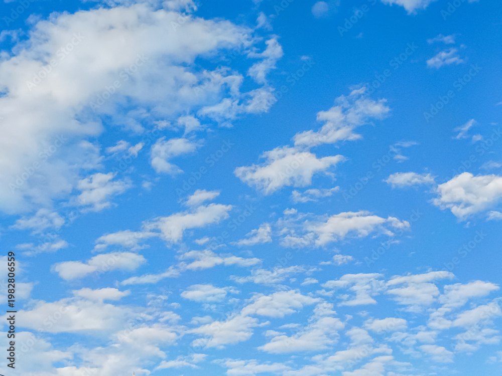 Fototapeta premium Beautiful blue sky with unusual white Altocumulus undulatus clouds, extraordinary cloud formation. White cirrocumulus clouds, altocumulus cloudy skies, stratocumulus cloud texture, blue sky background