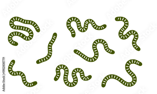 Collection of cute green cartoon worms or caterpillars in various crawling poses on white background, perfect for nature, gardening, kids education, and insect themed designs