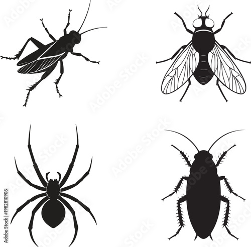 A collection of black silhouette insects including a cricket fly spider and cockroach