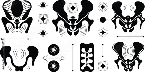 Abstract Black and White Human Pelvis Bone Illustrations