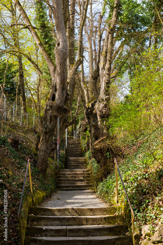 Der Fußwegzur Wallfahrtskirche (auch im Volksmund Käppele genannt) auf dem Nikolausberg über Würzburg
