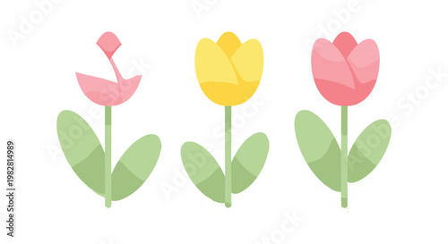 Set of Tulip Flowers in Pink, Yellow, and Red Vector Illustration for Floral Designs