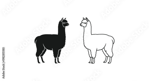 Alpaca icons, black and white llama illustrations, vector animals, farm creatures