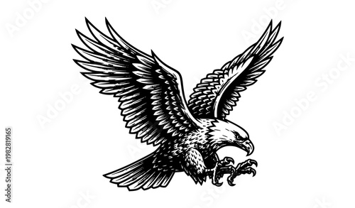 Obraz na płótnie Vintage woodcut bald eagle mascot in dynamic swooping attack pose engraved vecto