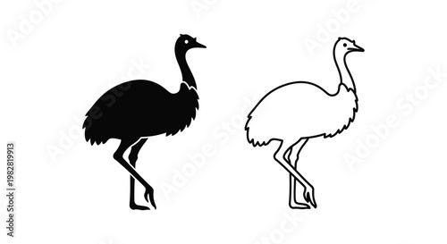 Ostrich icons, black silhouette and outline, bird illustrations, vector graphics