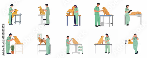 Set of professional veterinarians examining and caring for golden retriever dogs in a veterinary clinic, modern flat vector illustration style