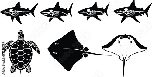 Silhouettes of sharks, sea turtle, stingray, and manta ray with skeletal details highlighting marine anatomy and diversity