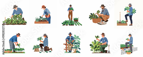Set of flat vector illustrations featuring diverse men and women harvesting fresh kale, gardening, and farming in different poses and settings.